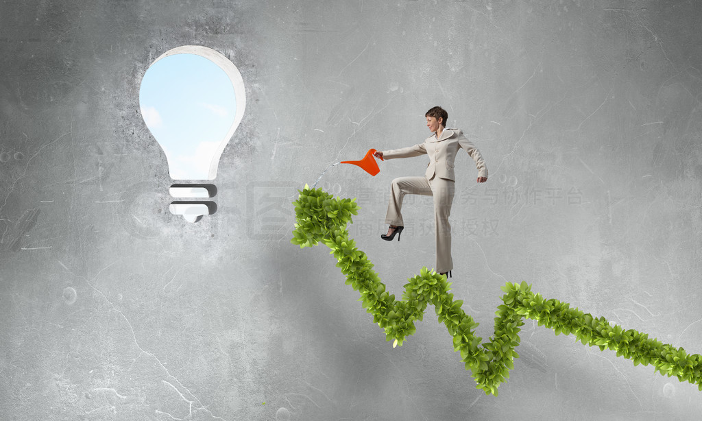 綠色增長(zhǎng)圖 女實(shí)業(yè)家通過資產(chǎn)管理實(shí)現(xiàn)收入增長(zhǎng)的策略